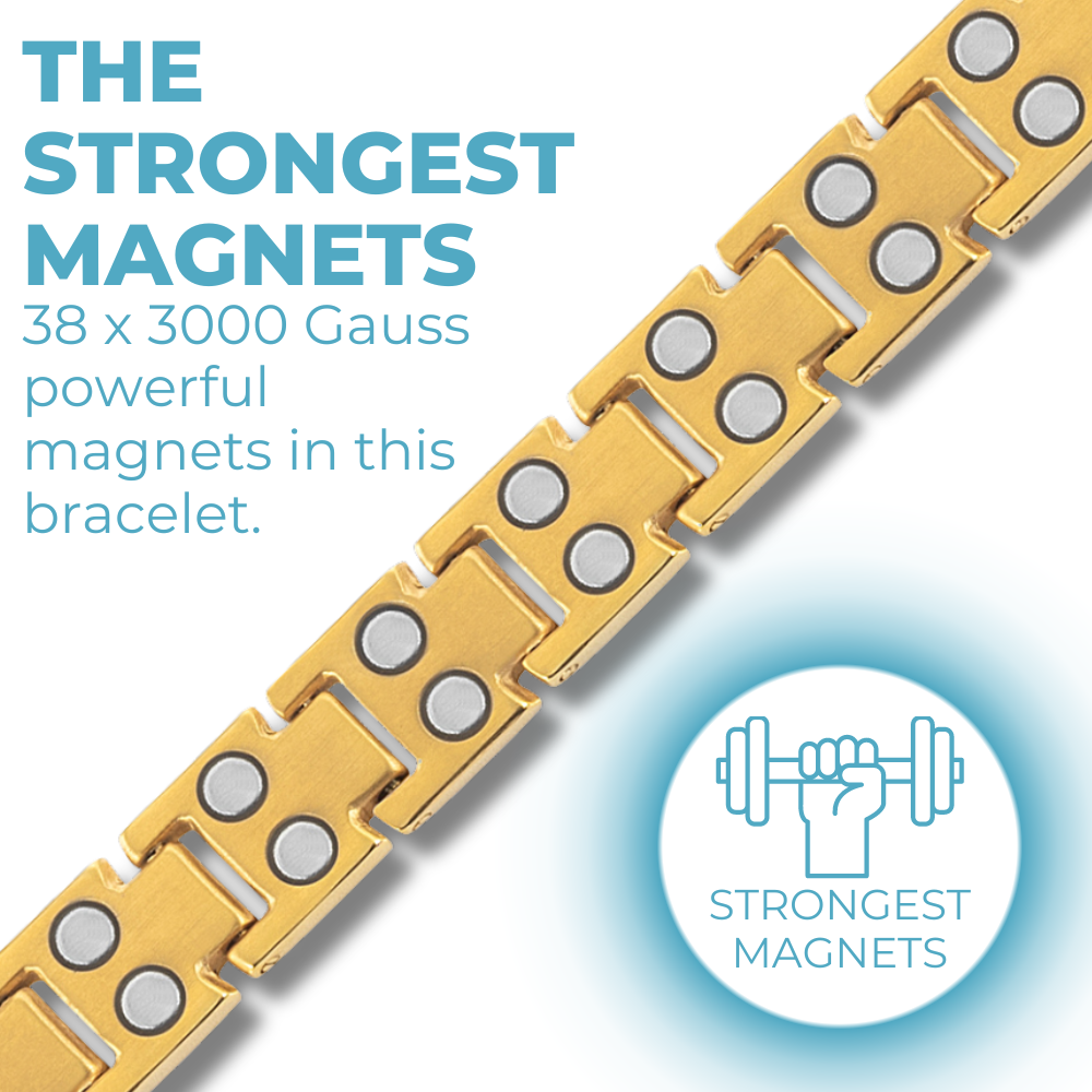 Ladies Double Row Titanium Magnetic Bracelet