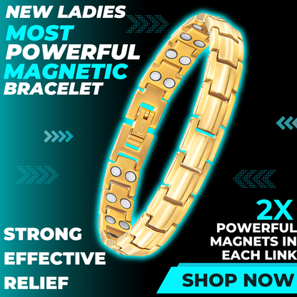 Ladies Double Row Titanium Magnetic Bracelet